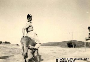 Palica - Le Telagh 017